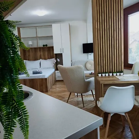 Rajska Banja Апартаменты Врнячка-Баня