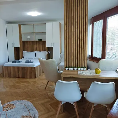 Rajska Banja Apartment