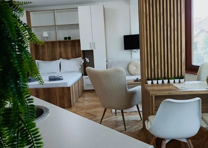 Rajska Banja Apartament Vrnjačka Banja